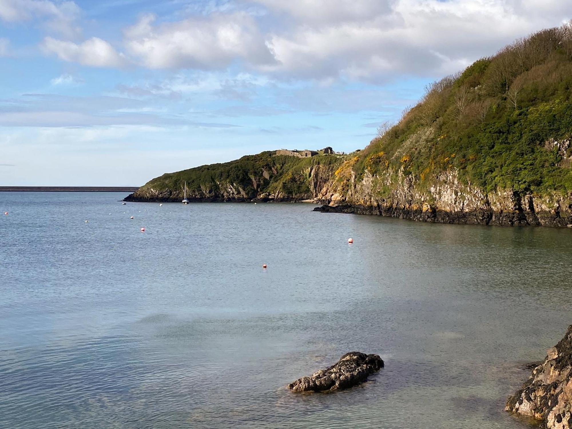 Snowdrop Cottage Fishguard Buitenkant foto